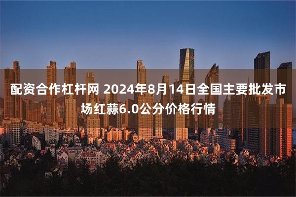 配资合作杠杆网 2024年8月14日全国主要批发市场红蒜6.0公分价格行情