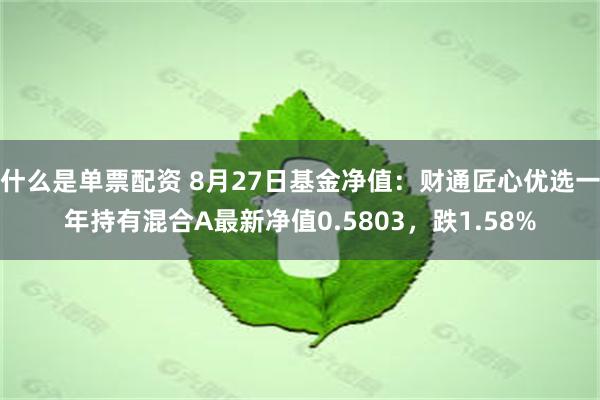 什么是单票配资 8月27日基金净值：财通匠心优选一年持有混合A最新净值0.5803，跌1.58%