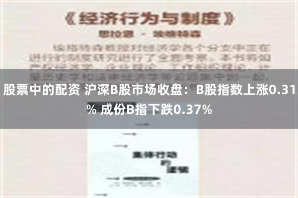 股票中的配资 沪深B股市场收盘：B股指数上涨0.31% 成份B指下跌0.37%