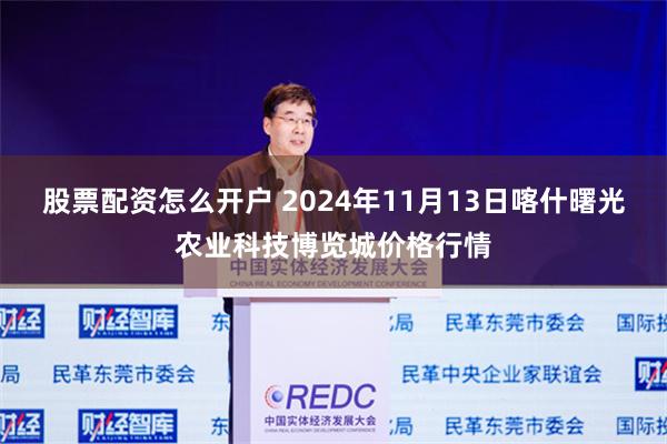 股票配资怎么开户 2024年11月13日喀什曙光农业科技博览城价格行情