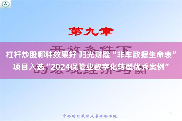 杠杆炒股哪种效果好 阳光财险“非车数据生命表”项目入选“2024保险业数字化转型优秀案例”