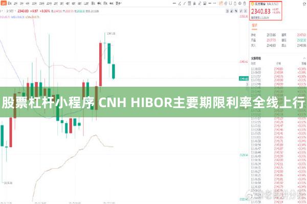 股票杠杆小程序 CNH HIBOR主要期限利率全线上行